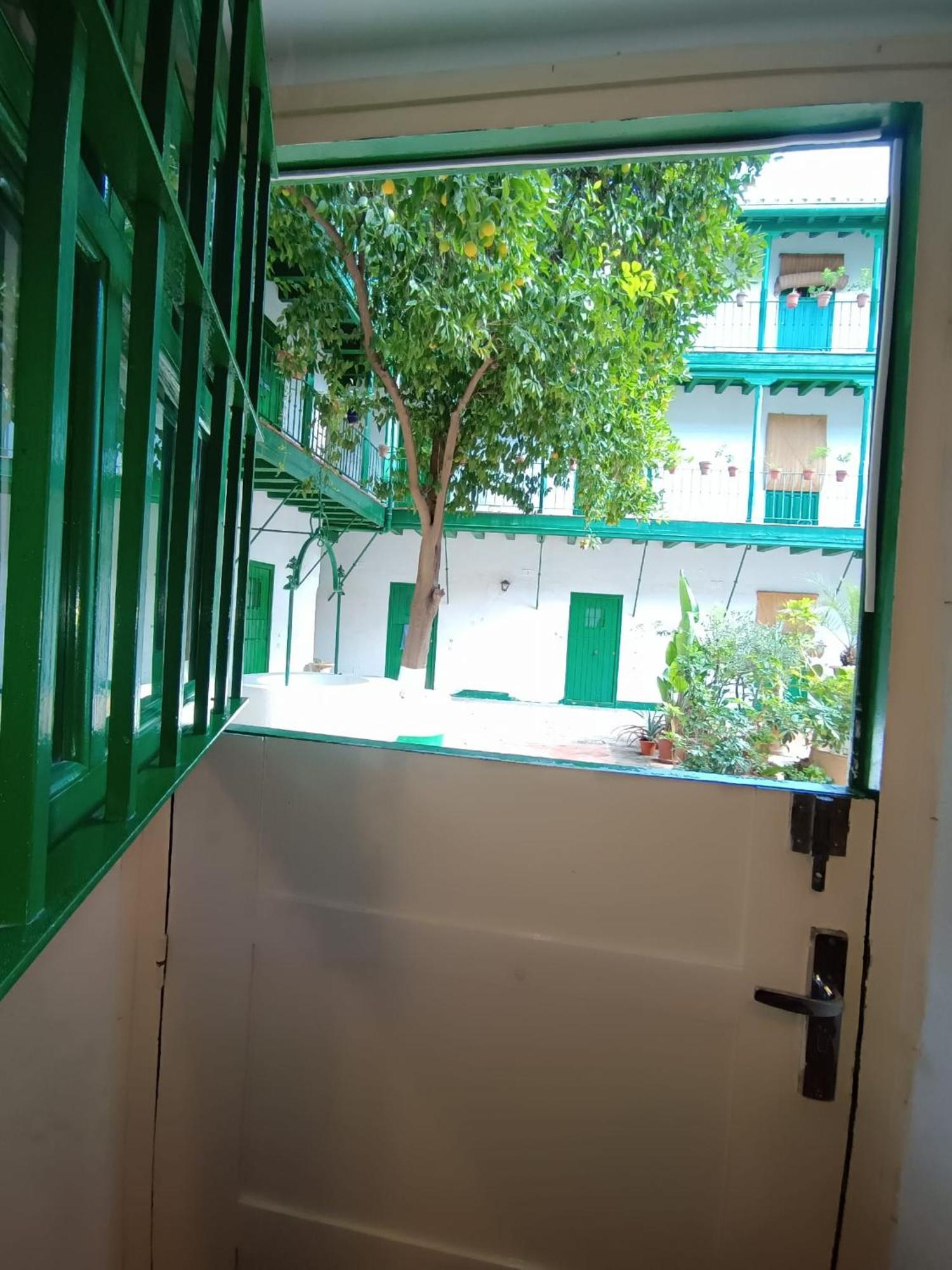 La Puerta Verde De Las Setas De Sevilla Dış mekan fotoğraf